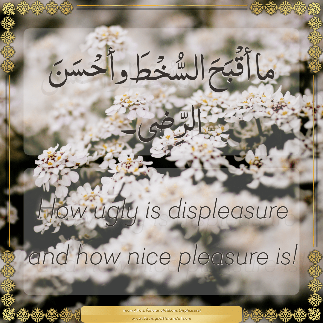 How ugly is displeasure and how nice pleasure is!